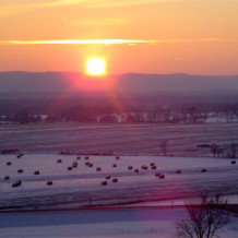 CELEBRATE SPRING’S ARRIVAL AT FRANK’S HILL